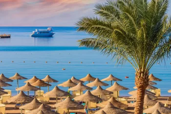 ​فندق فالكون نعمة ستار